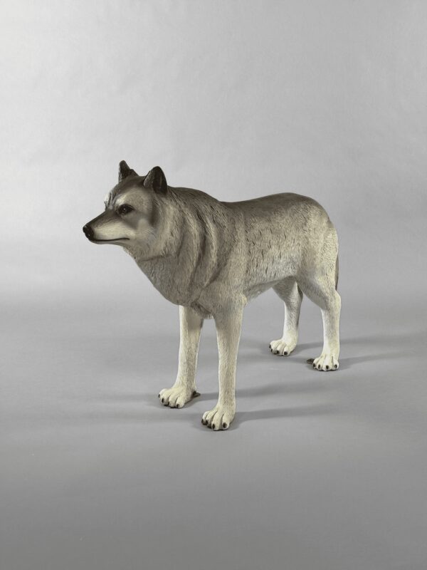 Wolf Lebensgroß